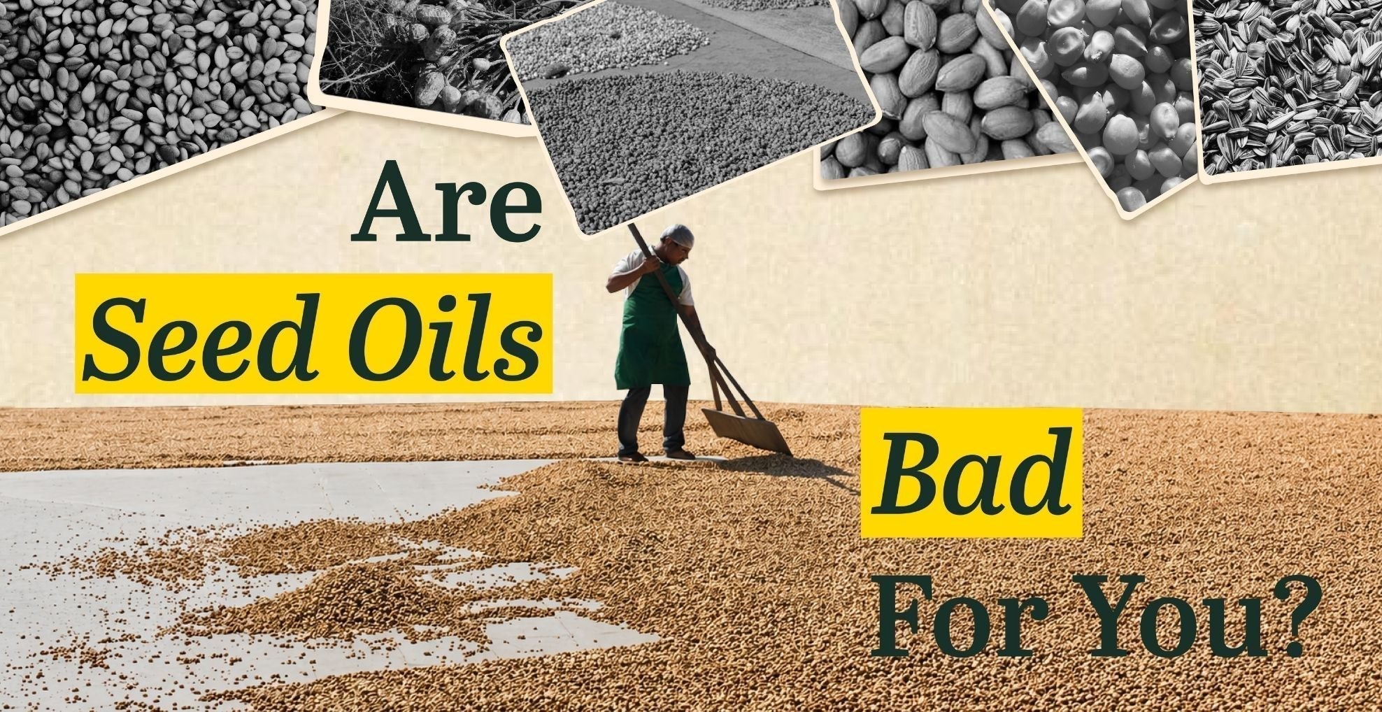 Are Seed Oils Bad for You? The Truth About Inflammation, Omega-6 & Cooking Oils