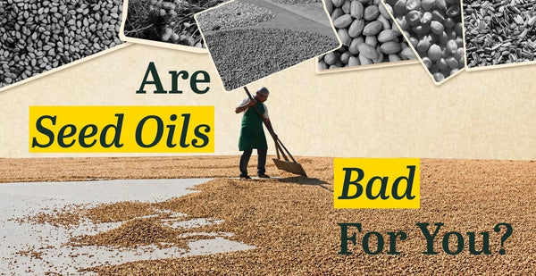 Are Seed Oils Bad for You? The Truth About Inflammation, Omega-6 & Cooking Oils