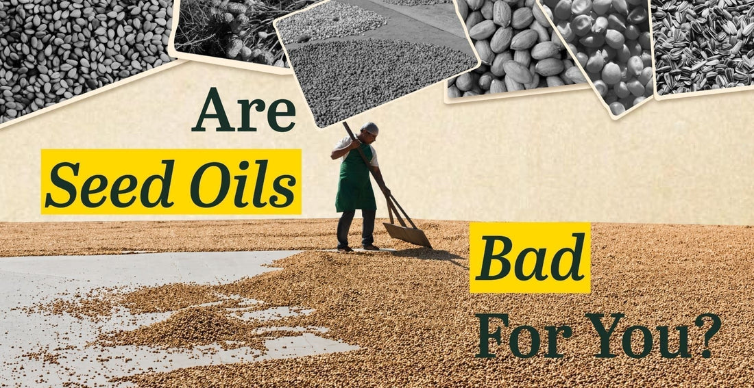 Are Seed Oils Bad for You? The Truth About Inflammation, Omega-6 & Cooking Oils
